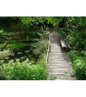 Le jardin des Sambucs