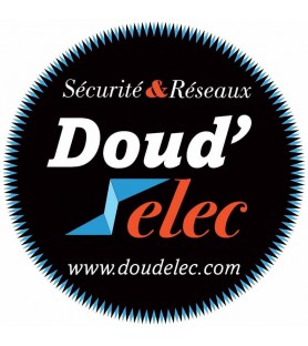 DOUDELEC SECURITE ET RESEAUX